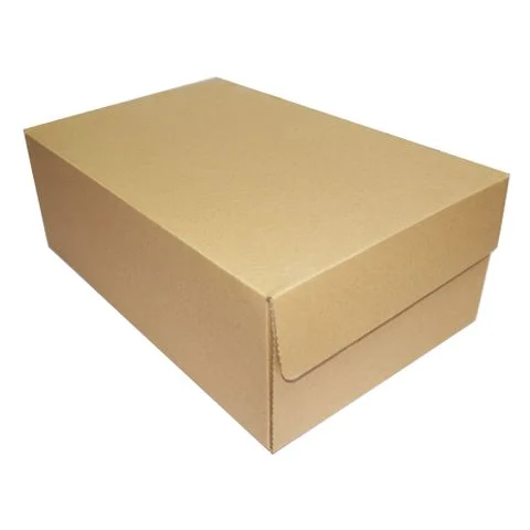 Hộp carton đựng giày_1